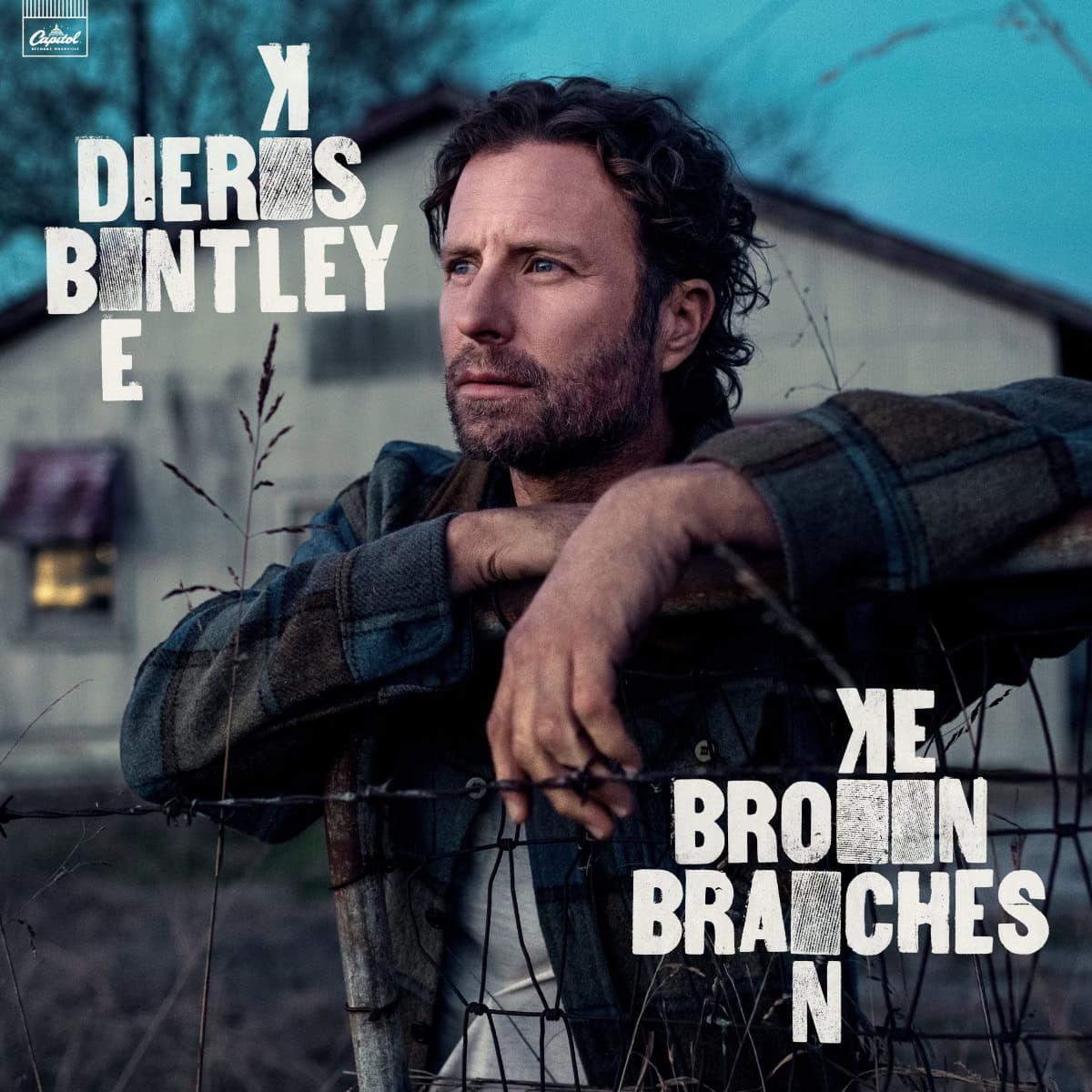 Dierks Bentley 'Broken Branches' Album Art