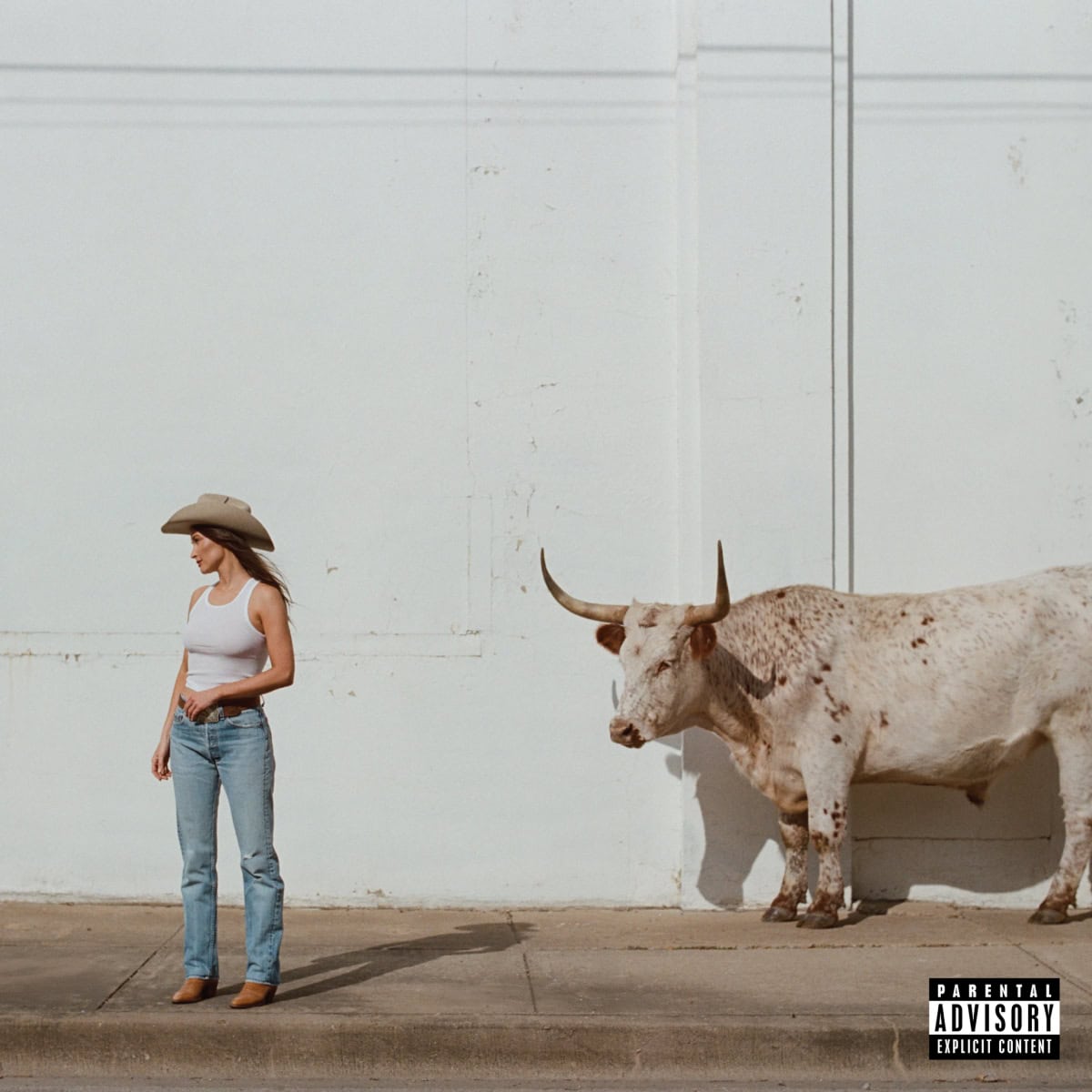 Kacey Musgraves "Middle Of Nowhere" Album Art